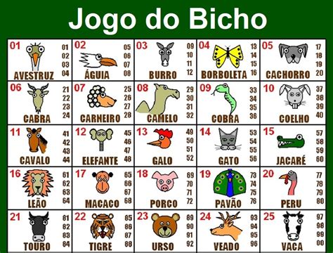 bauzinho jogo do bicho